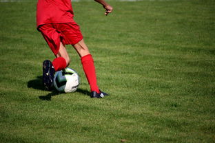 NBA球员技术动作进阶训练，nba球员训练方式